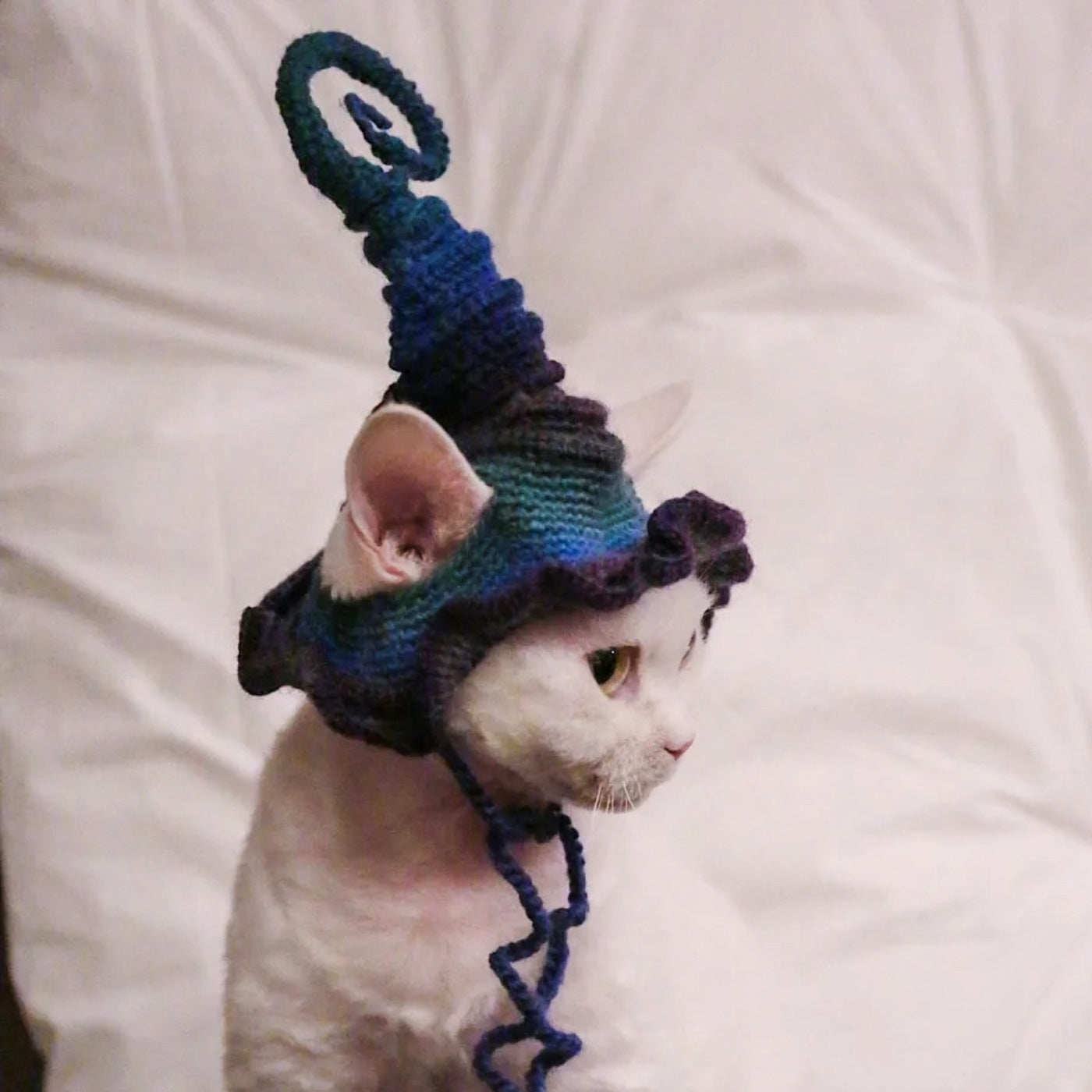 Halloween Pet Witch Hat Crochet Diagram   (free crochet pattern)